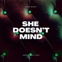 Cover of She Doesn't Mind