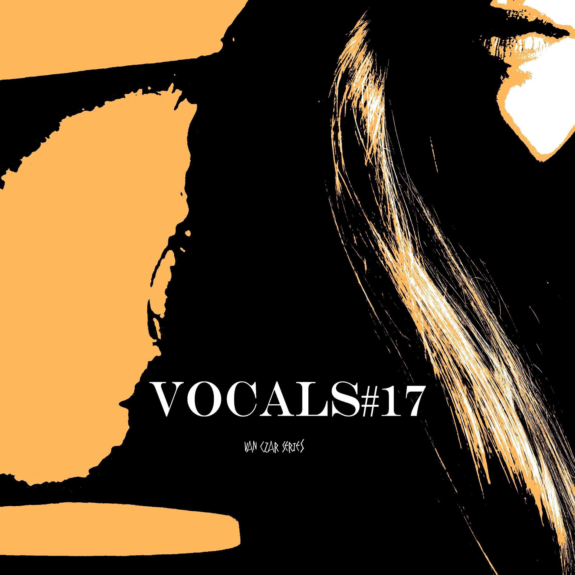 Album cover of Vocals #17