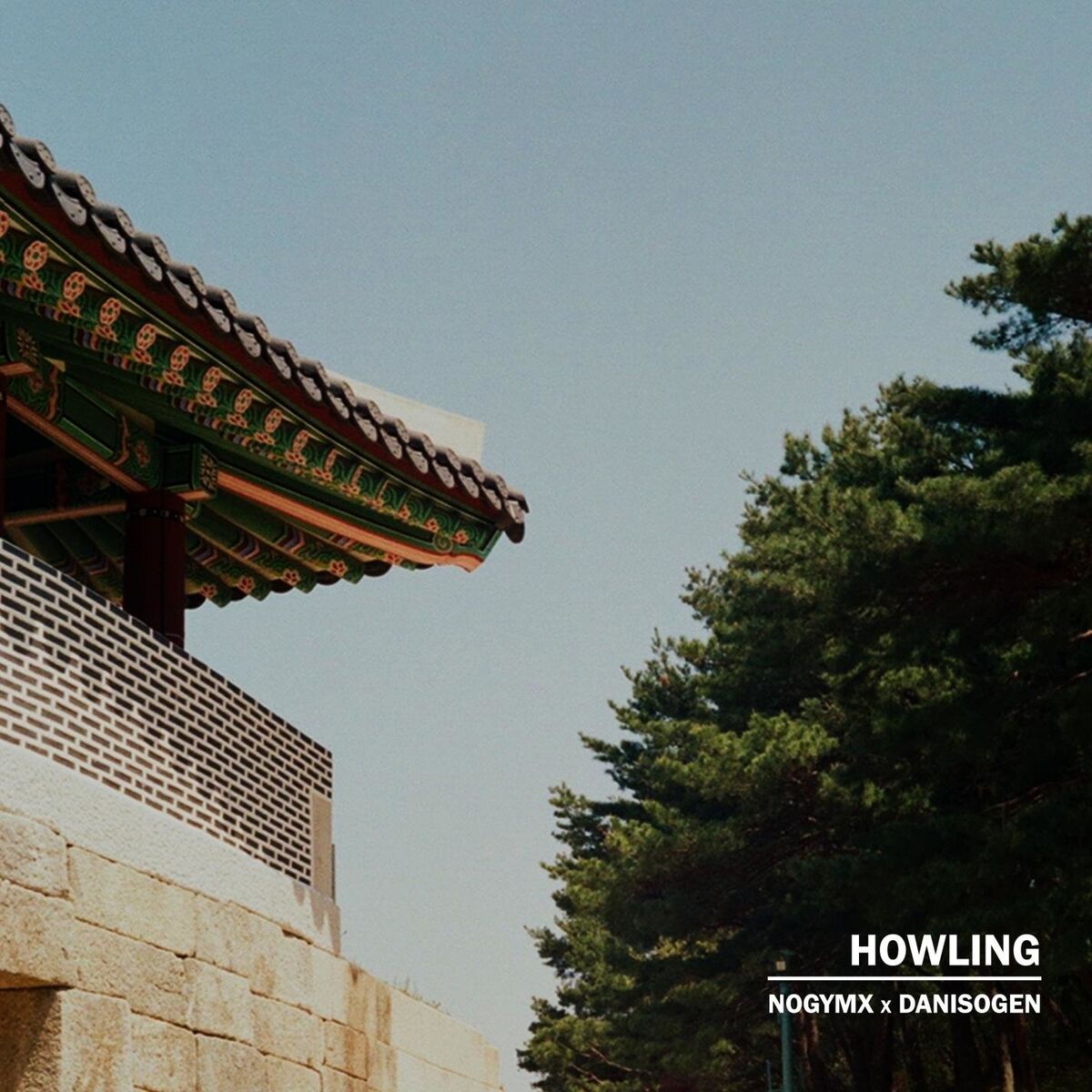 Album cover of Howling