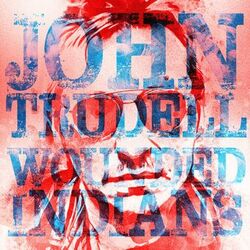 Cover of Wounded Indians