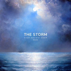 Cover of the storm by undefined