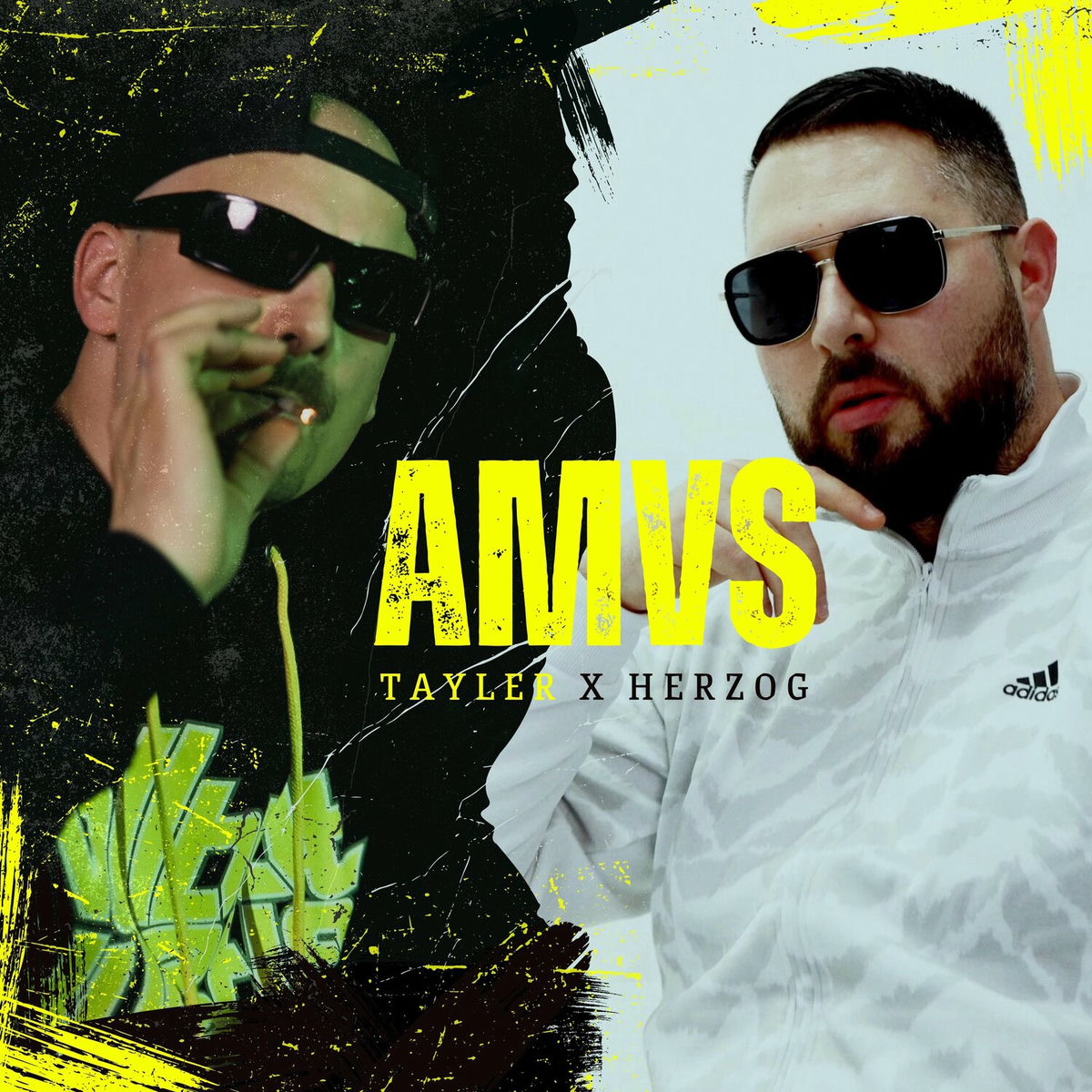 Album cover of AMVS