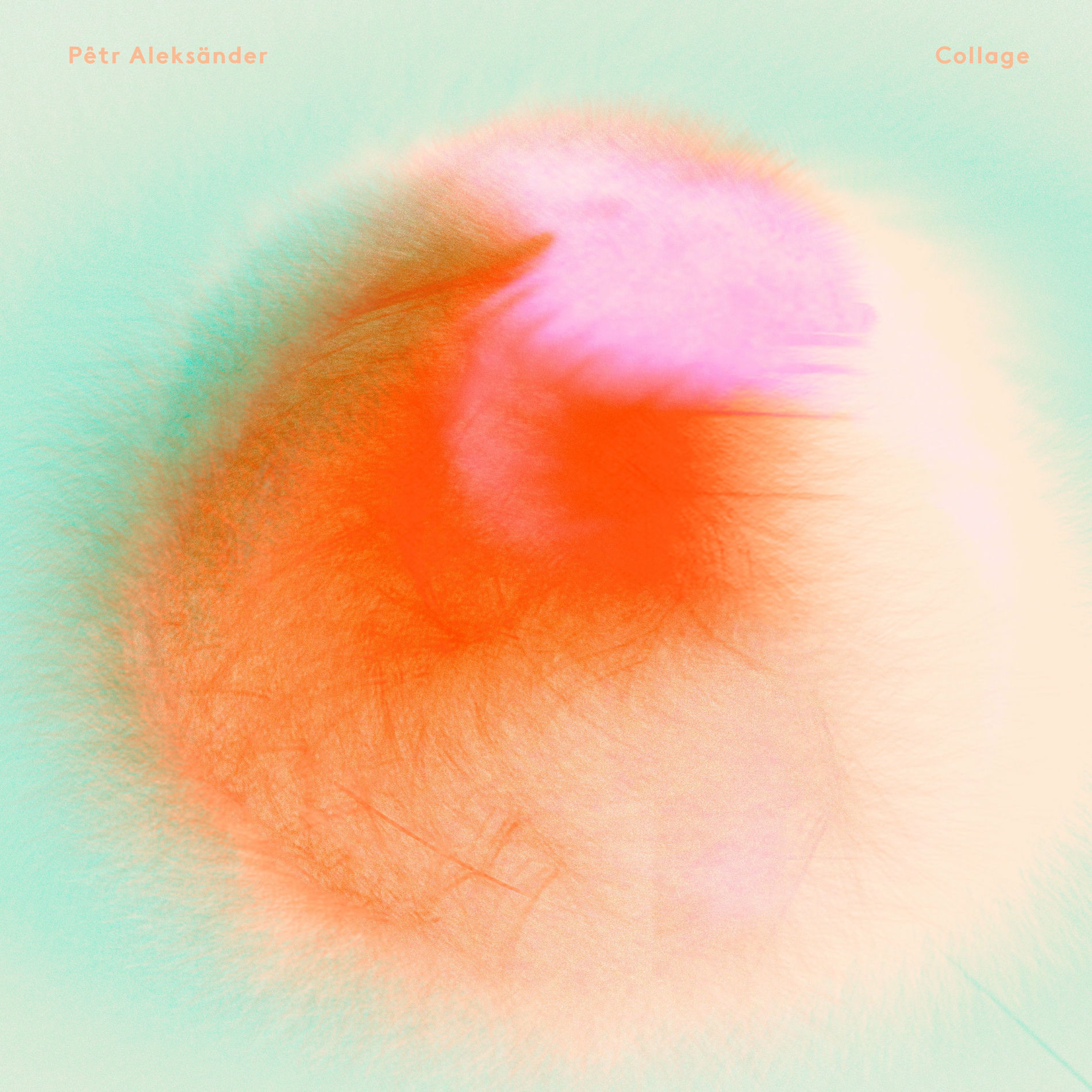 Album cover of New Moon