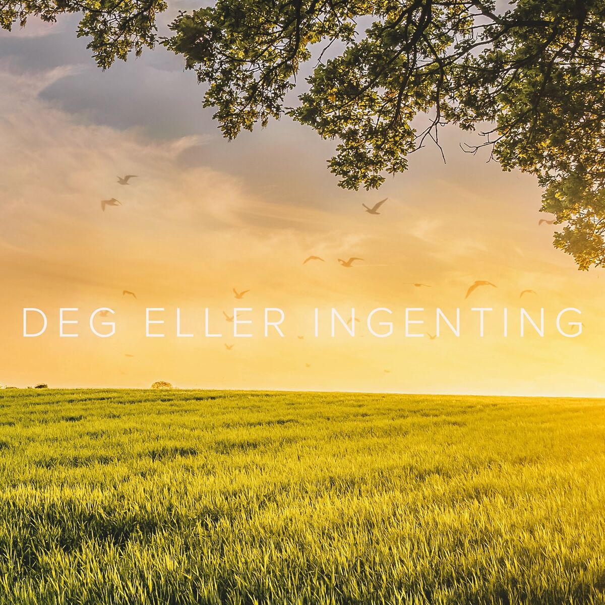 Album cover of Deg Eller Ingenting