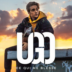 Cover of Ce qui me blesse