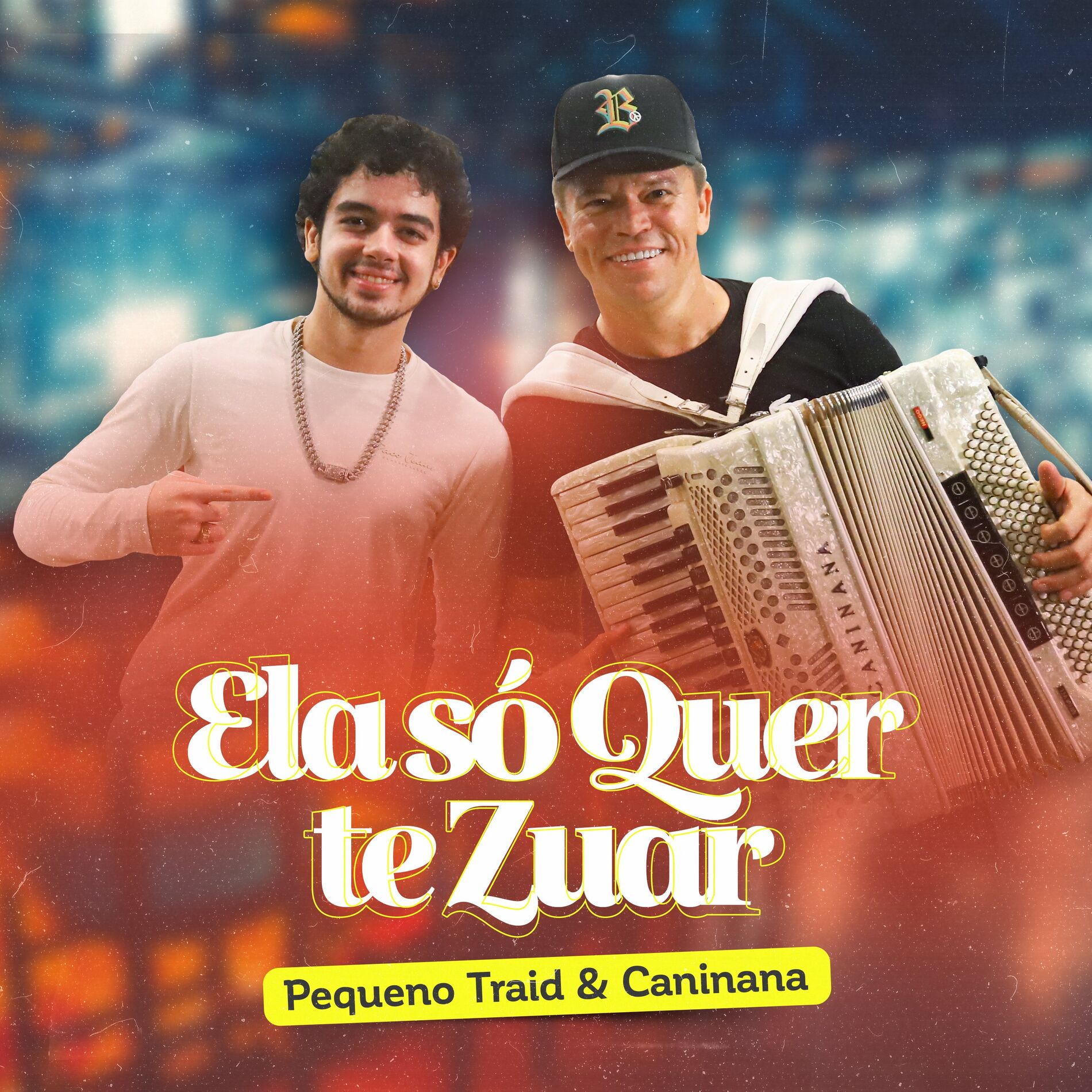 Album cover of Ela Só Quer Te Zuar