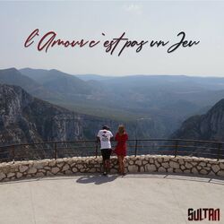 Cover of L'amour c'est pas un jeu