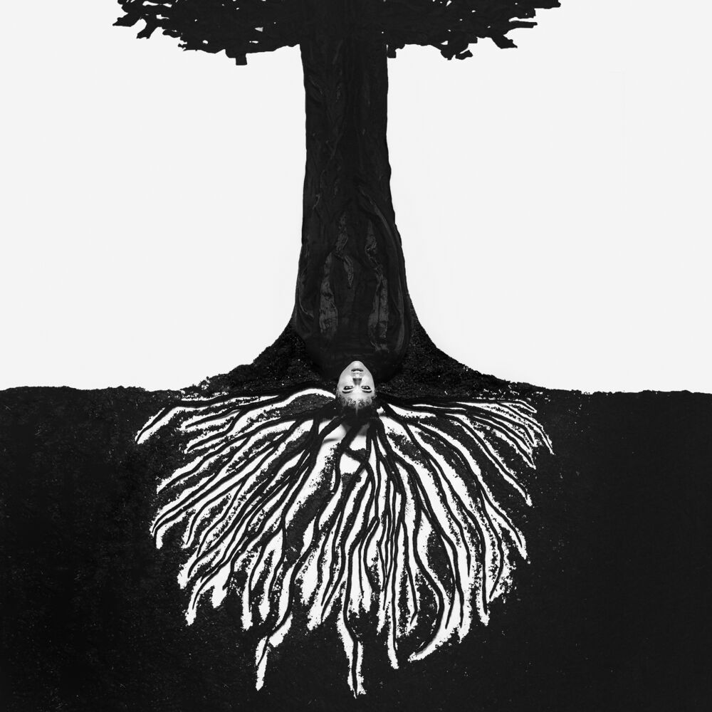 Picture of a tree planted by water