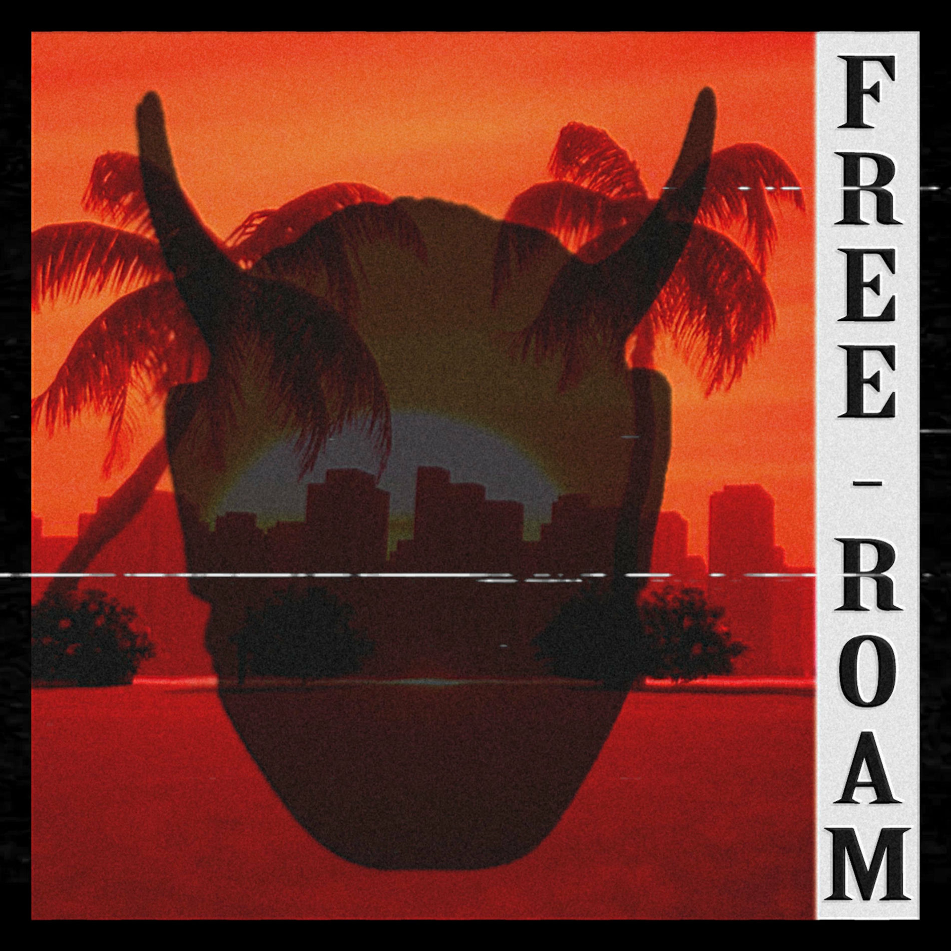 Album cover of Free Roam