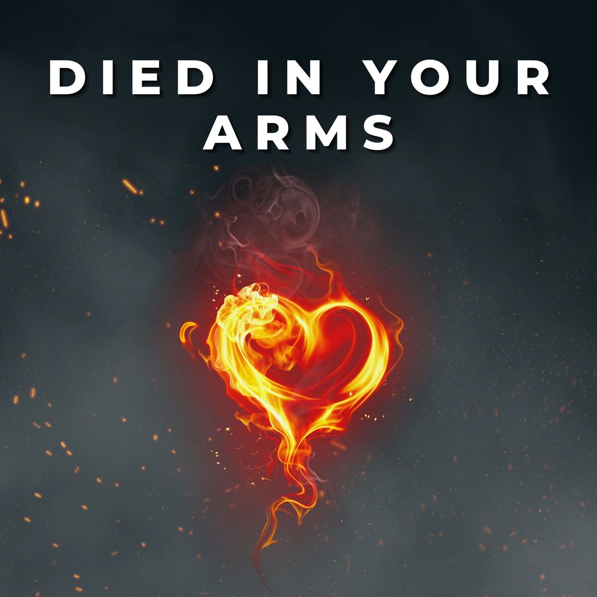 Album cover of Died In Your Arms