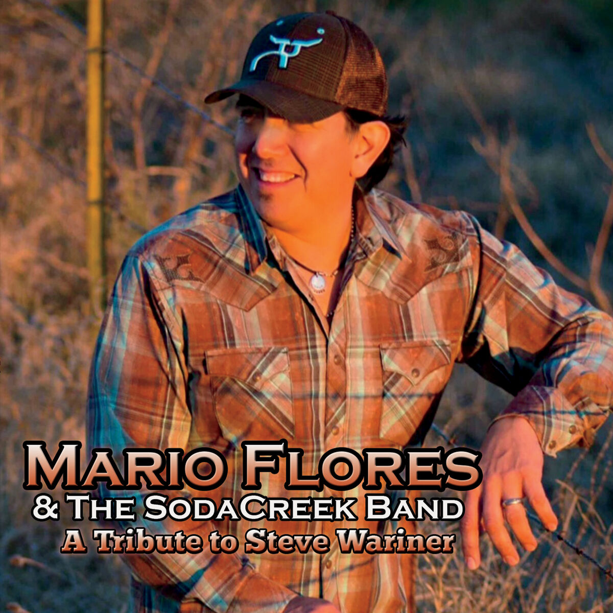 Album cover of A Tribute to Steve Wariner