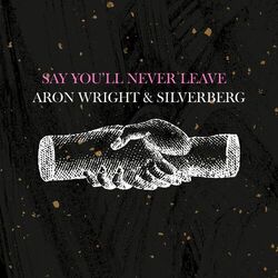 Cover of Say You'll Never Leave