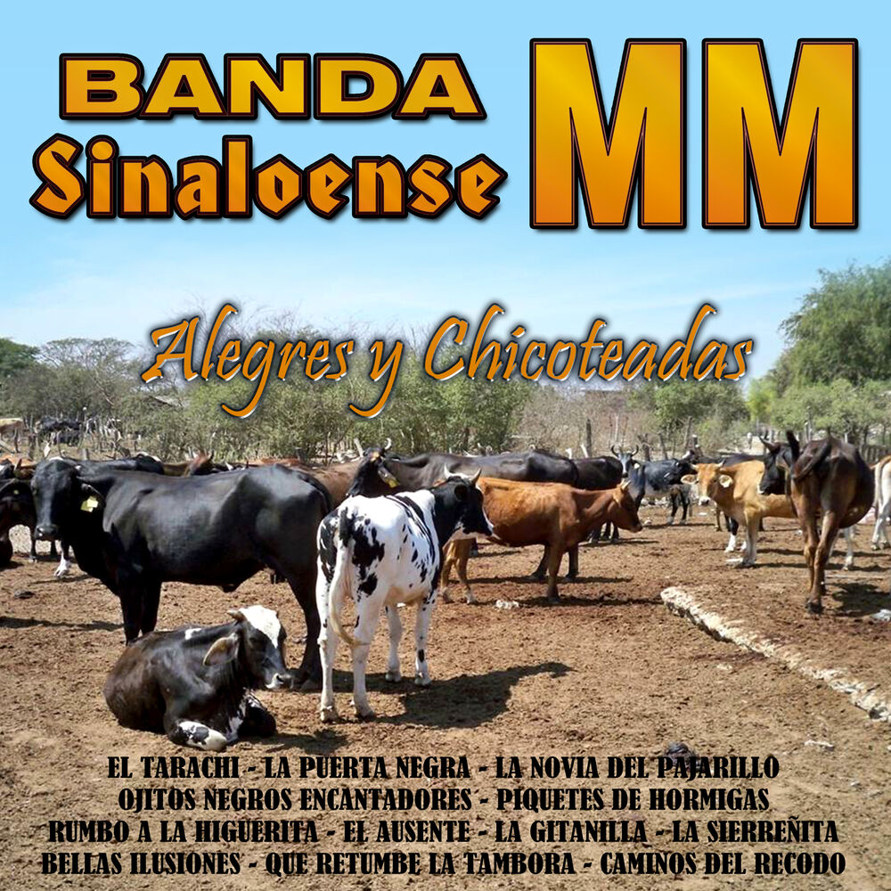 Picture of Alegres y Chicoteadas