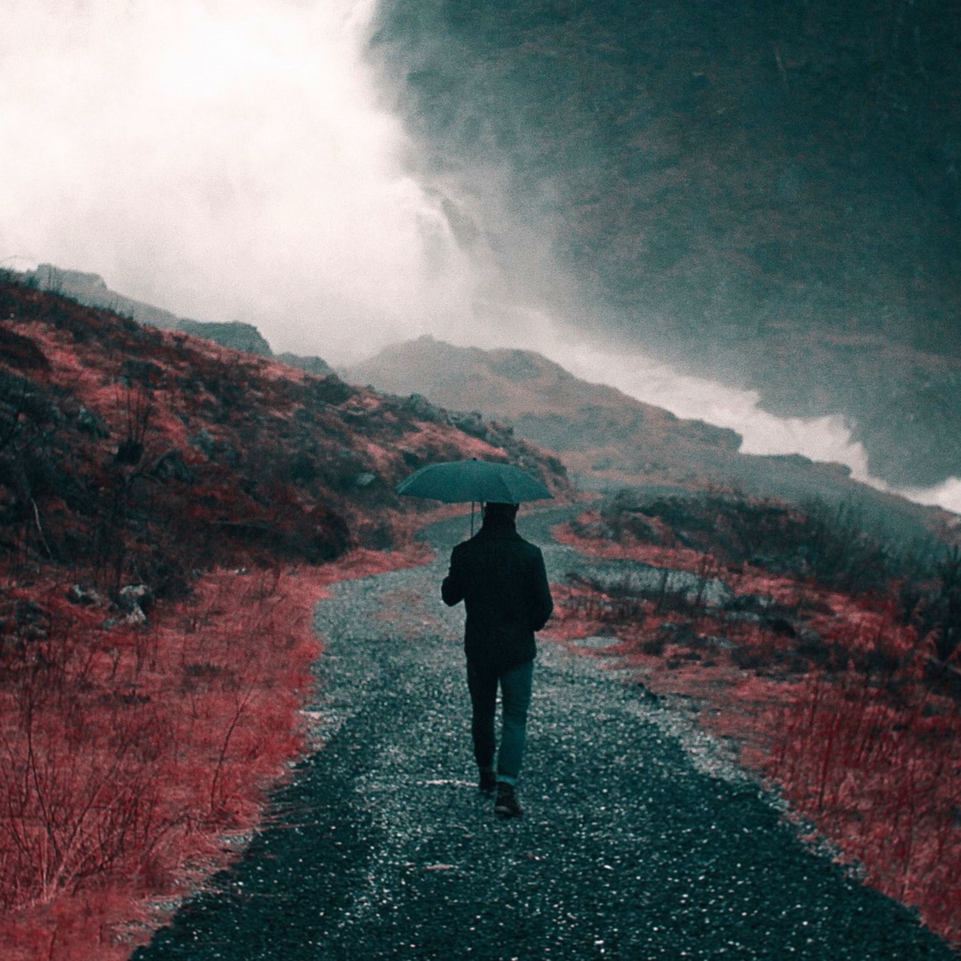 Album cover of The Sound of Rain