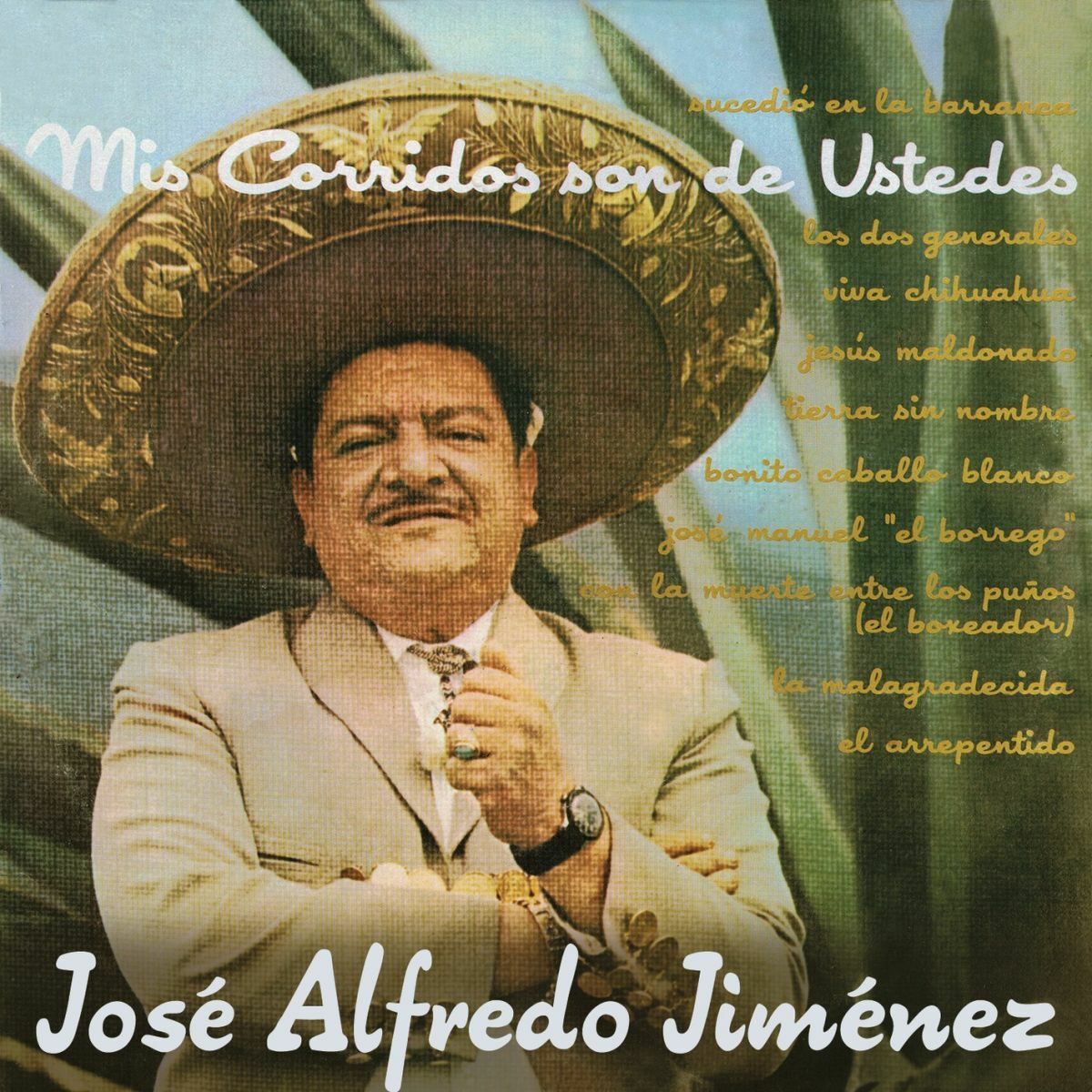 Album cover of Mis Corridos Son de Ustedes