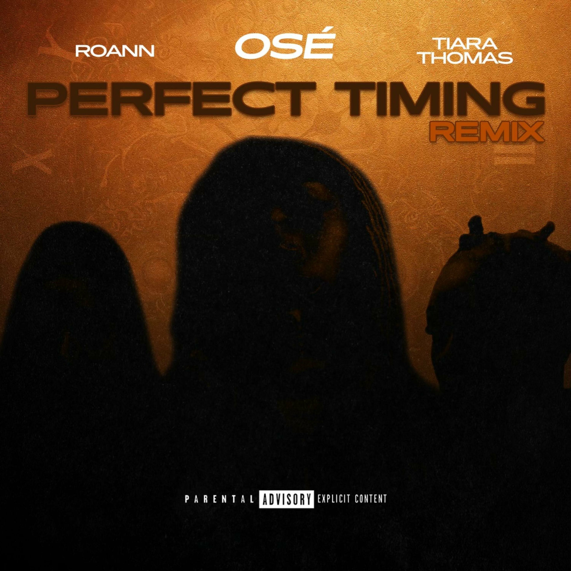 Album cover of Perfect Timing (Remix)