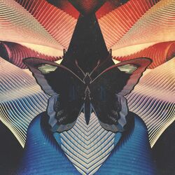 Cover of Butterfly