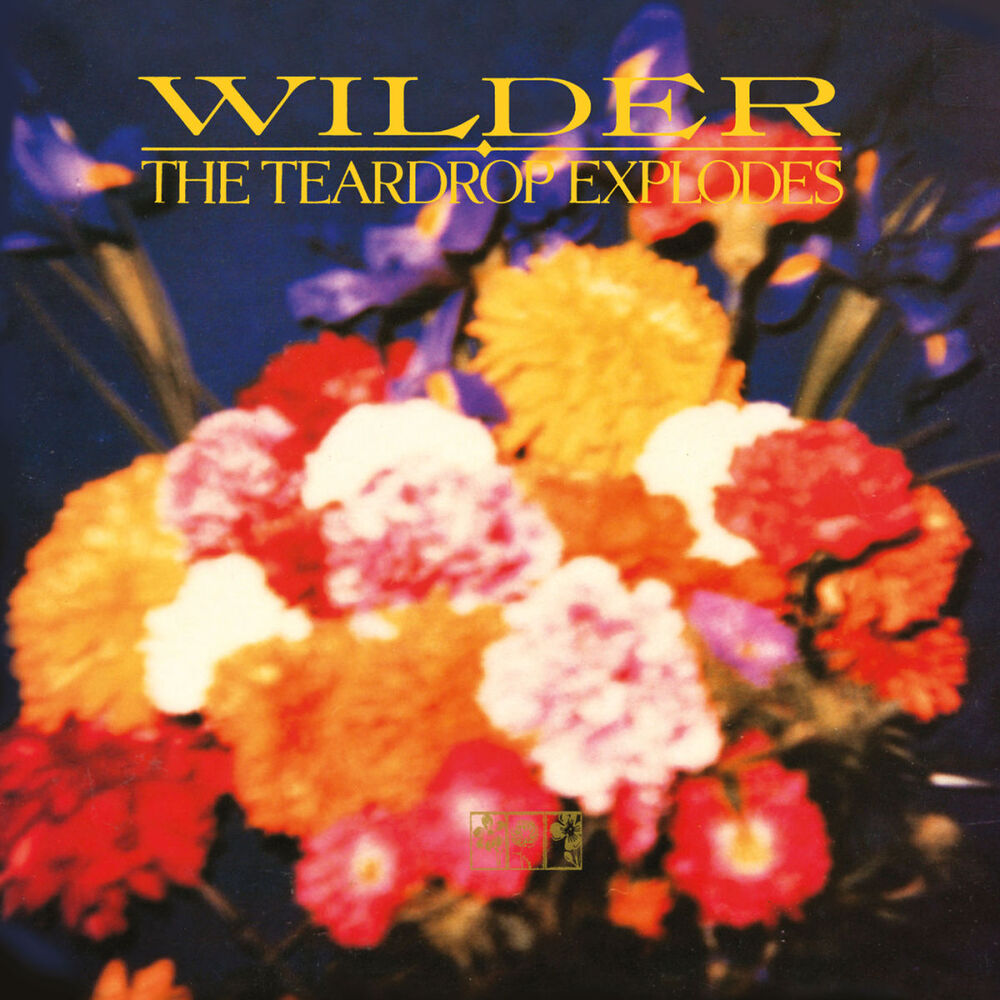 Picture of Wilder (Remastered Expanded Edition)
