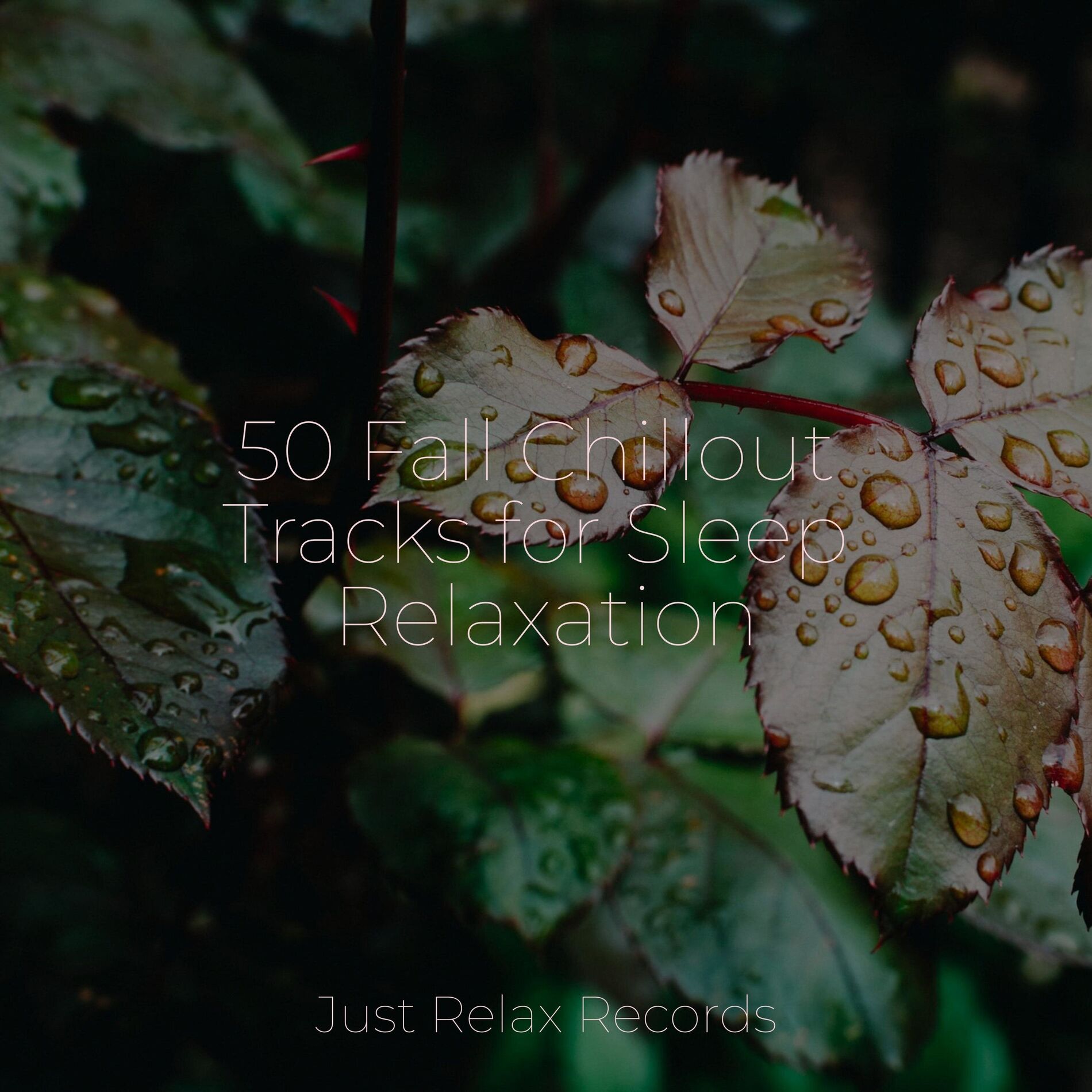 Album cover of 50 Fall Chillout Tracks for Sleep Relaxation