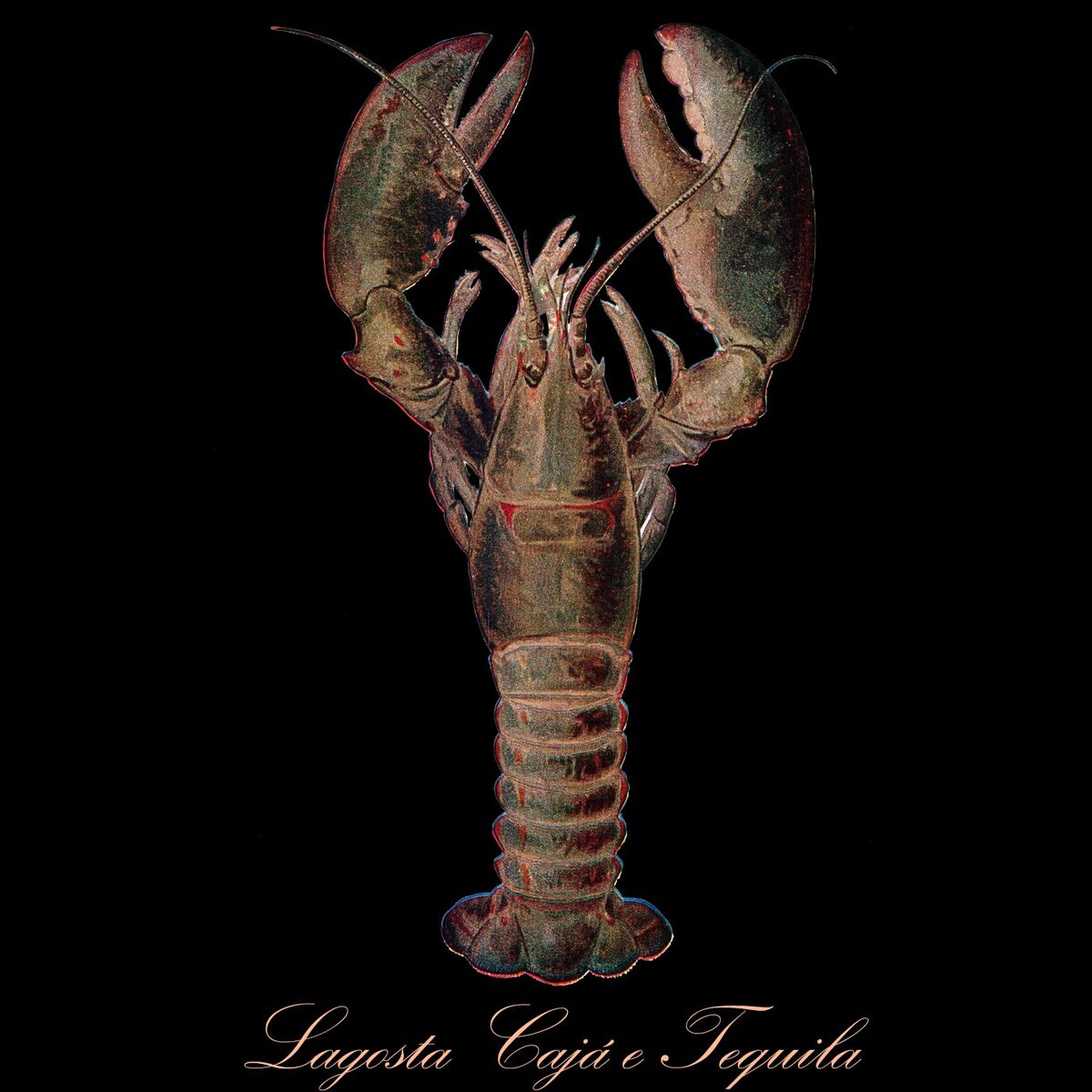 Album cover of Lagosta, Cajá e Tequila