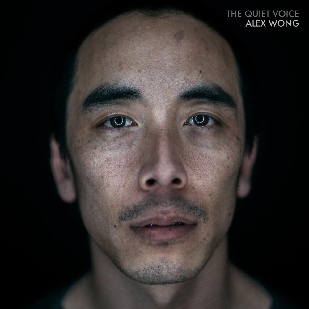 Picture of The Quiet Voice