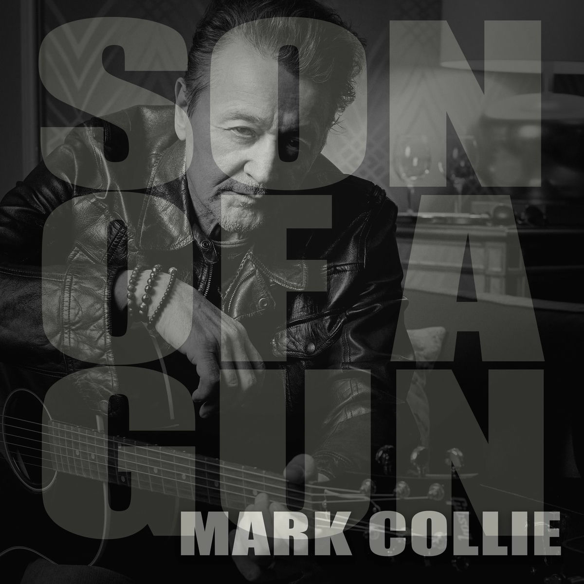 Album cover of The Son of a Gun