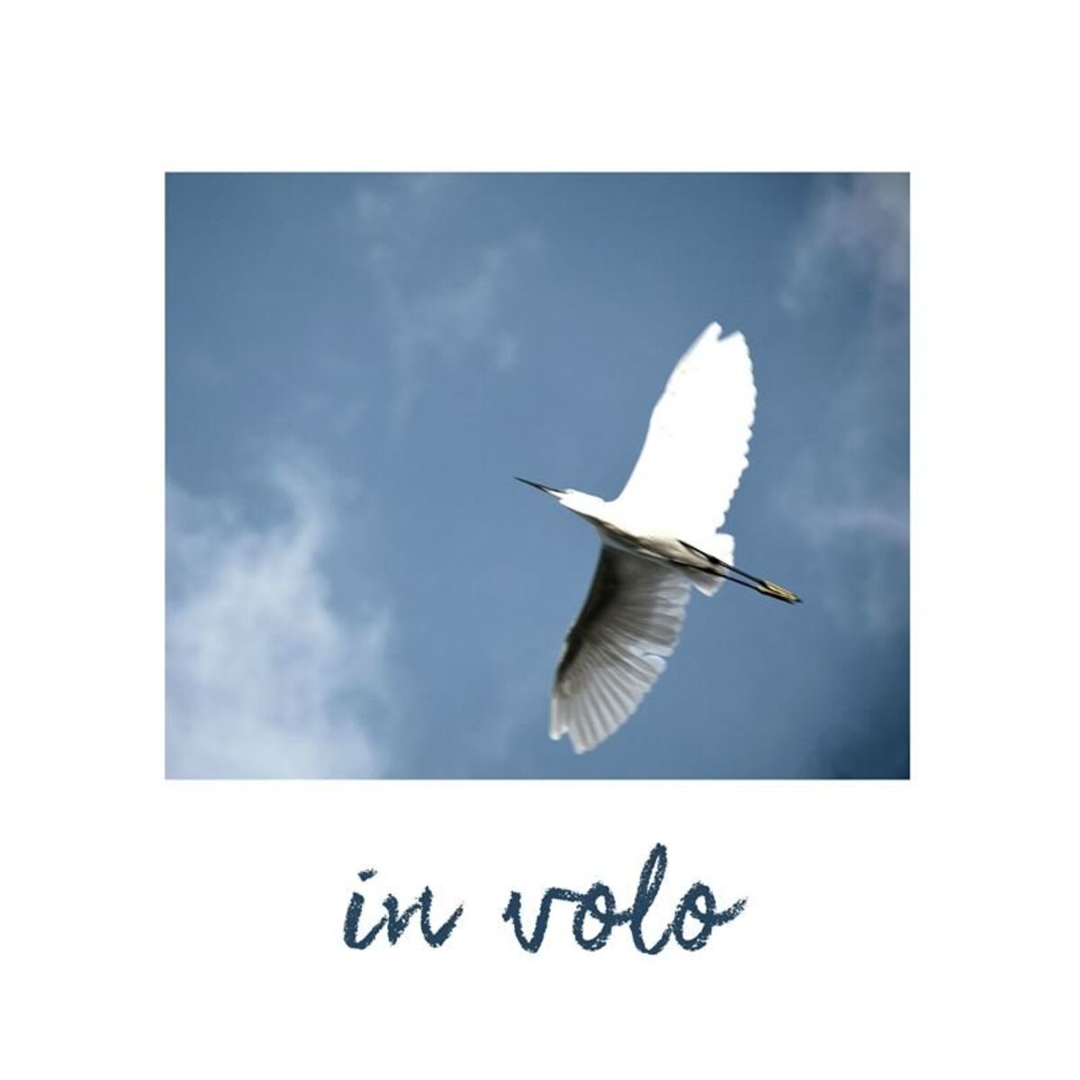 Album cover of In volo