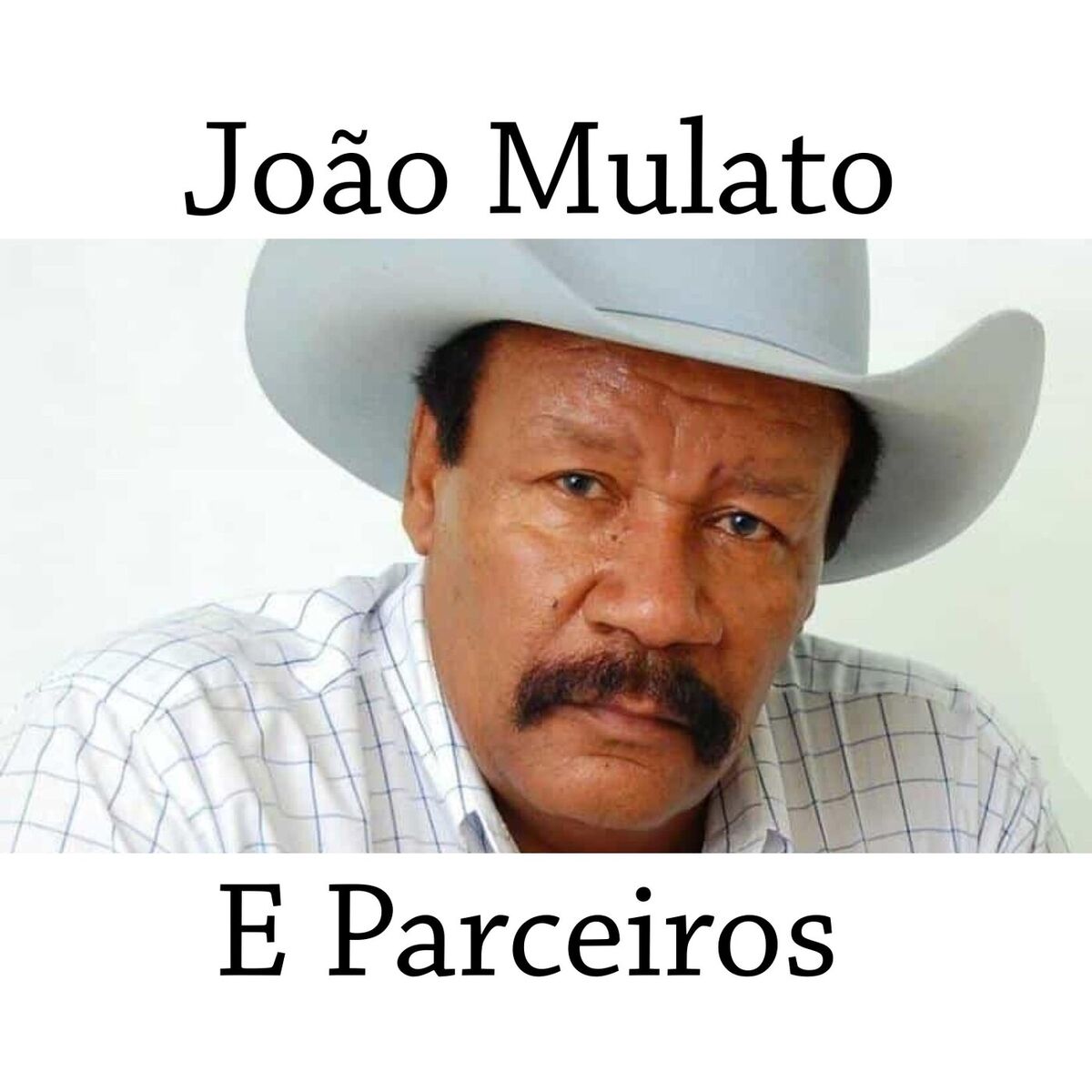 Album cover of Viola Caipira