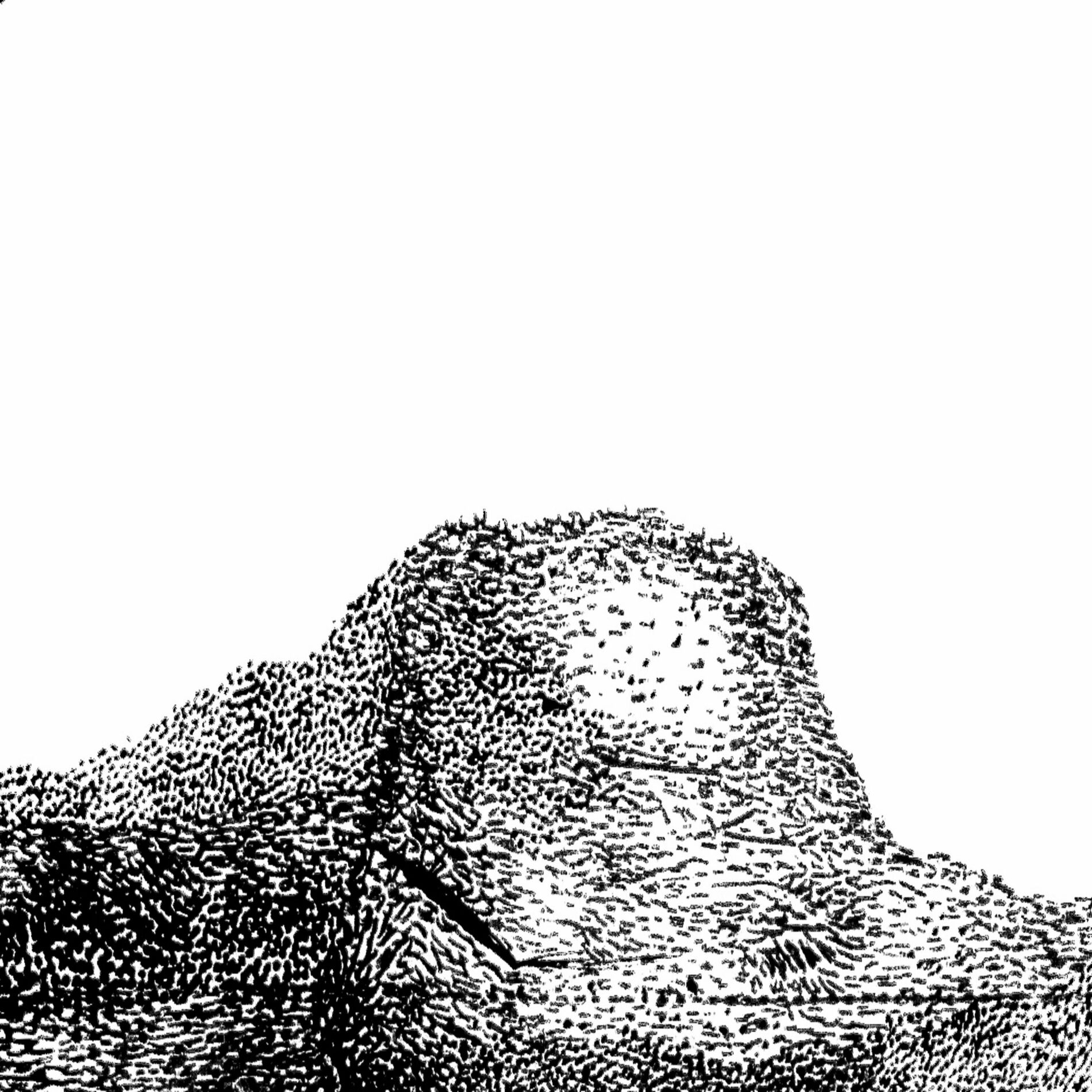 Album cover of 1624