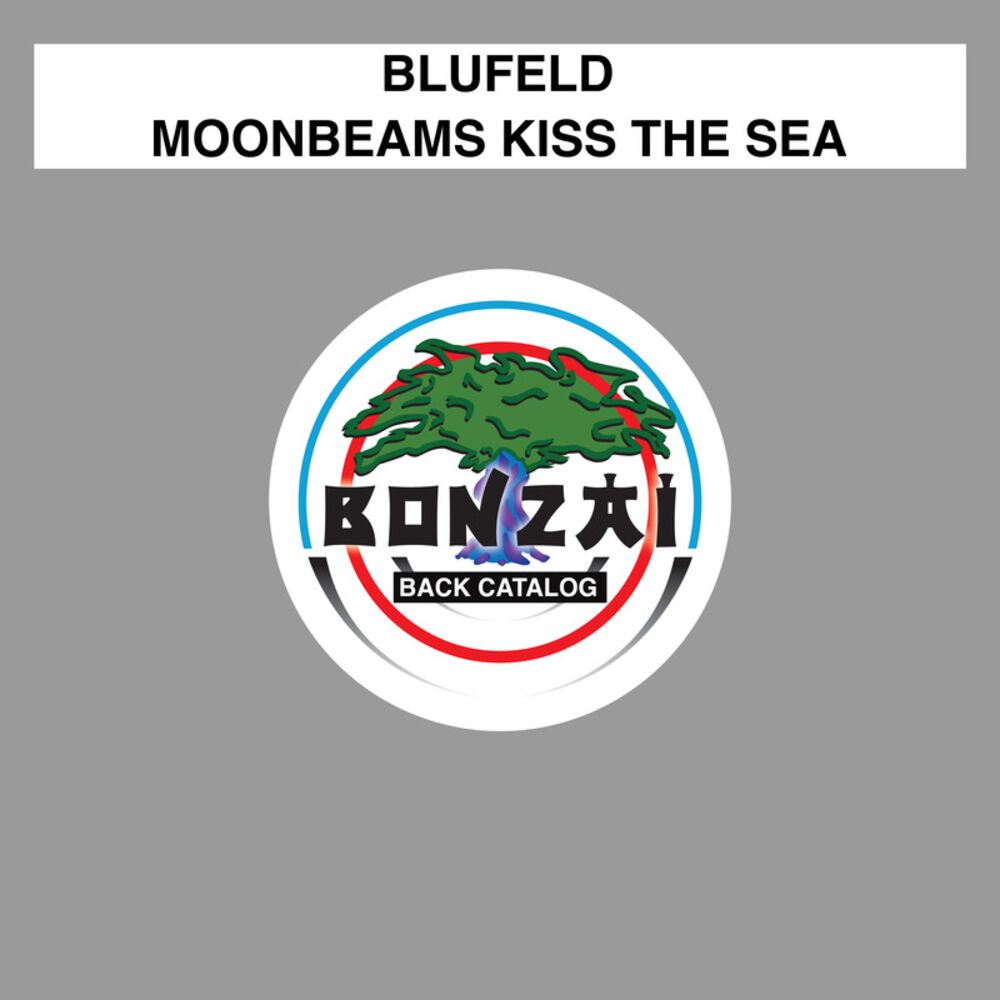 Picture of Moonbeams Kiss The Sea