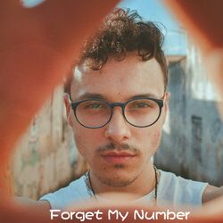 Cover of Forget My Number