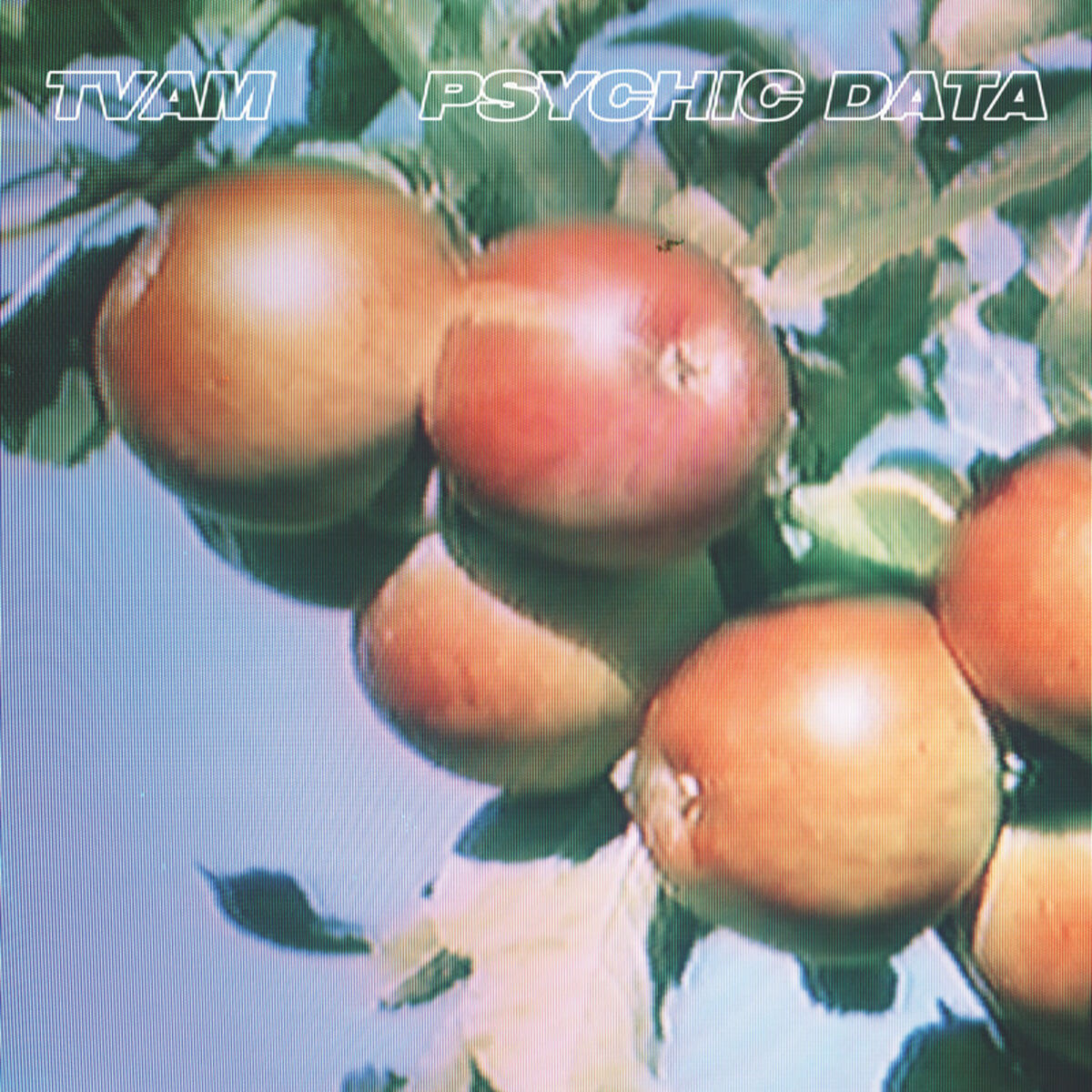 Album cover of Porsche Majeure