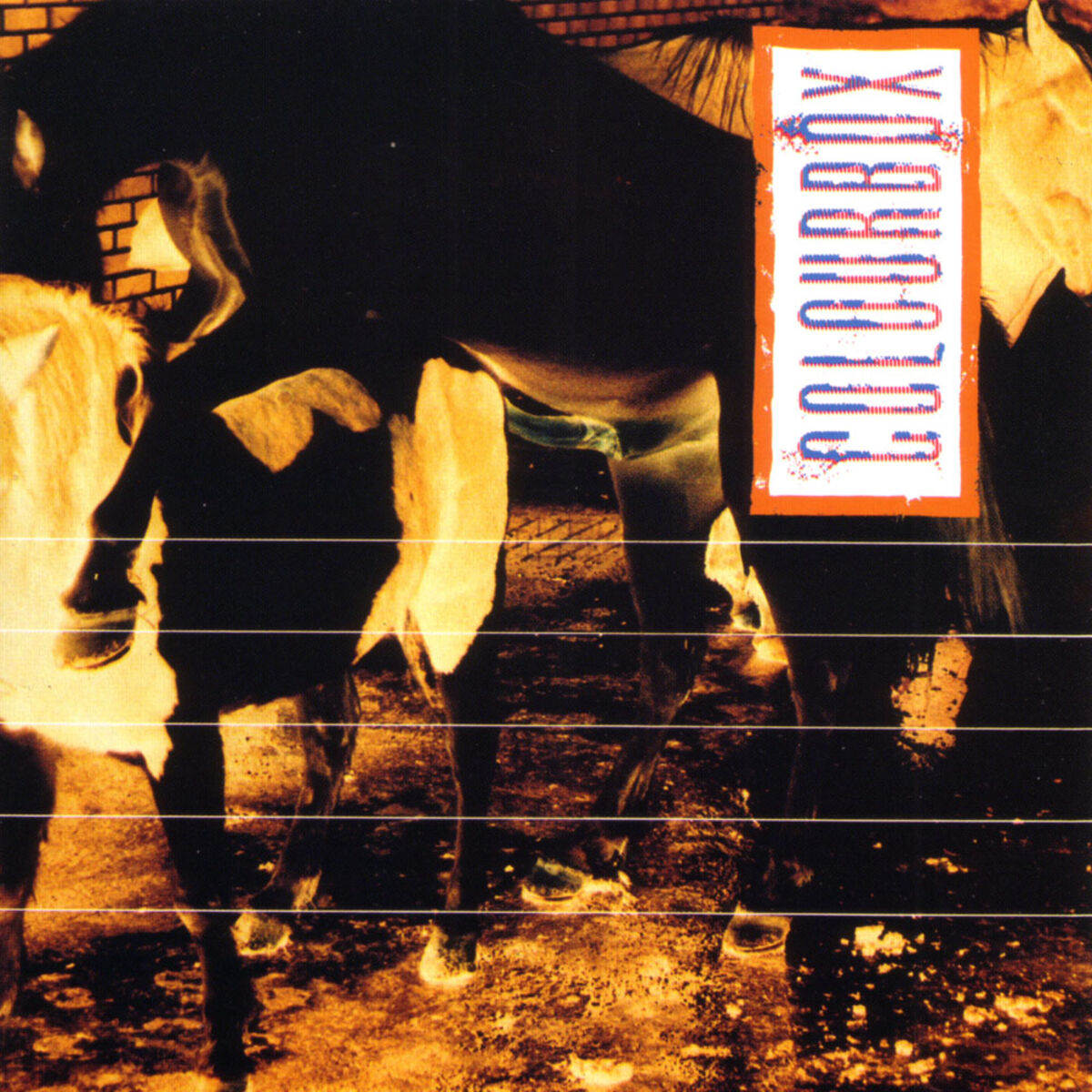 Album cover of Colourbox