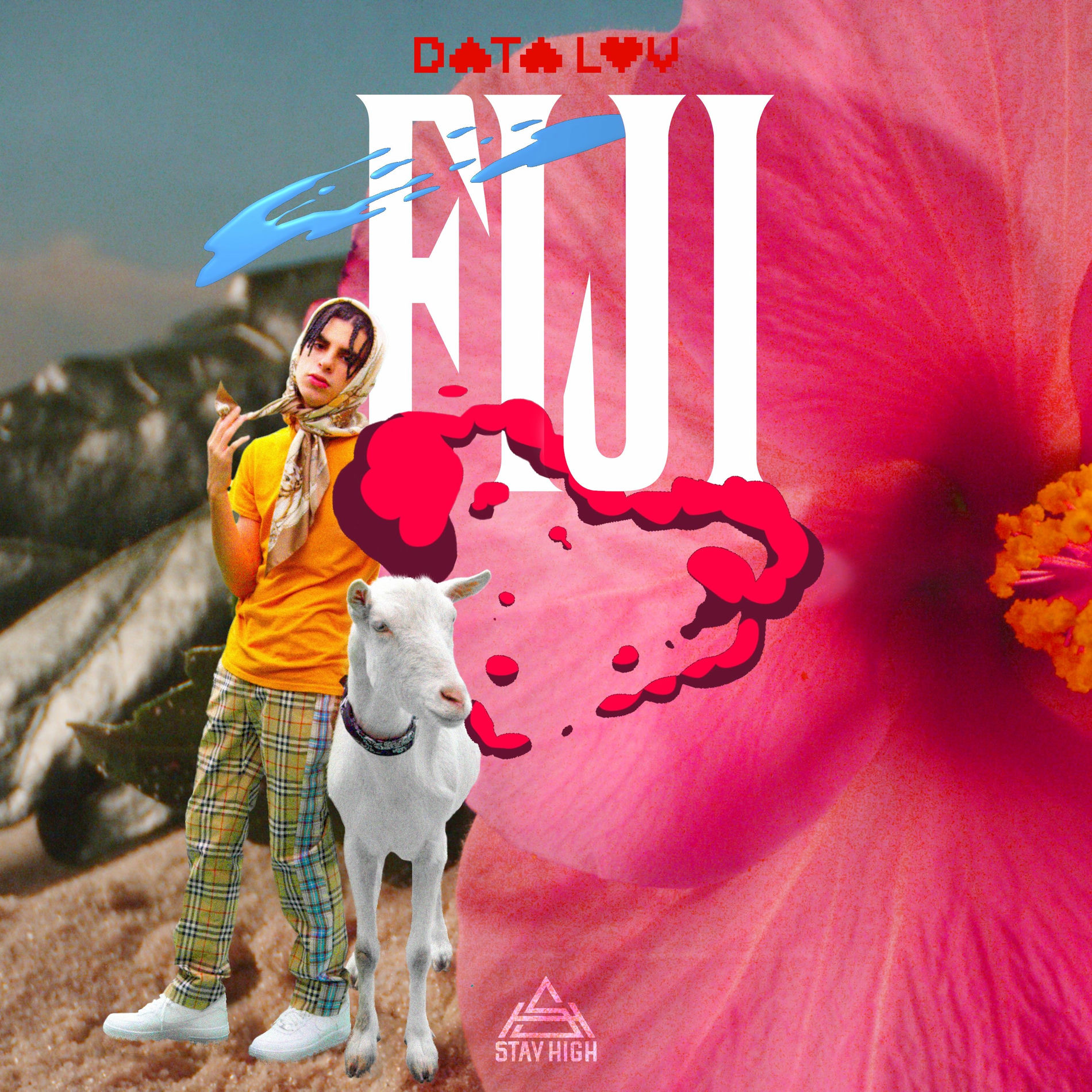 Album cover of fiji*
