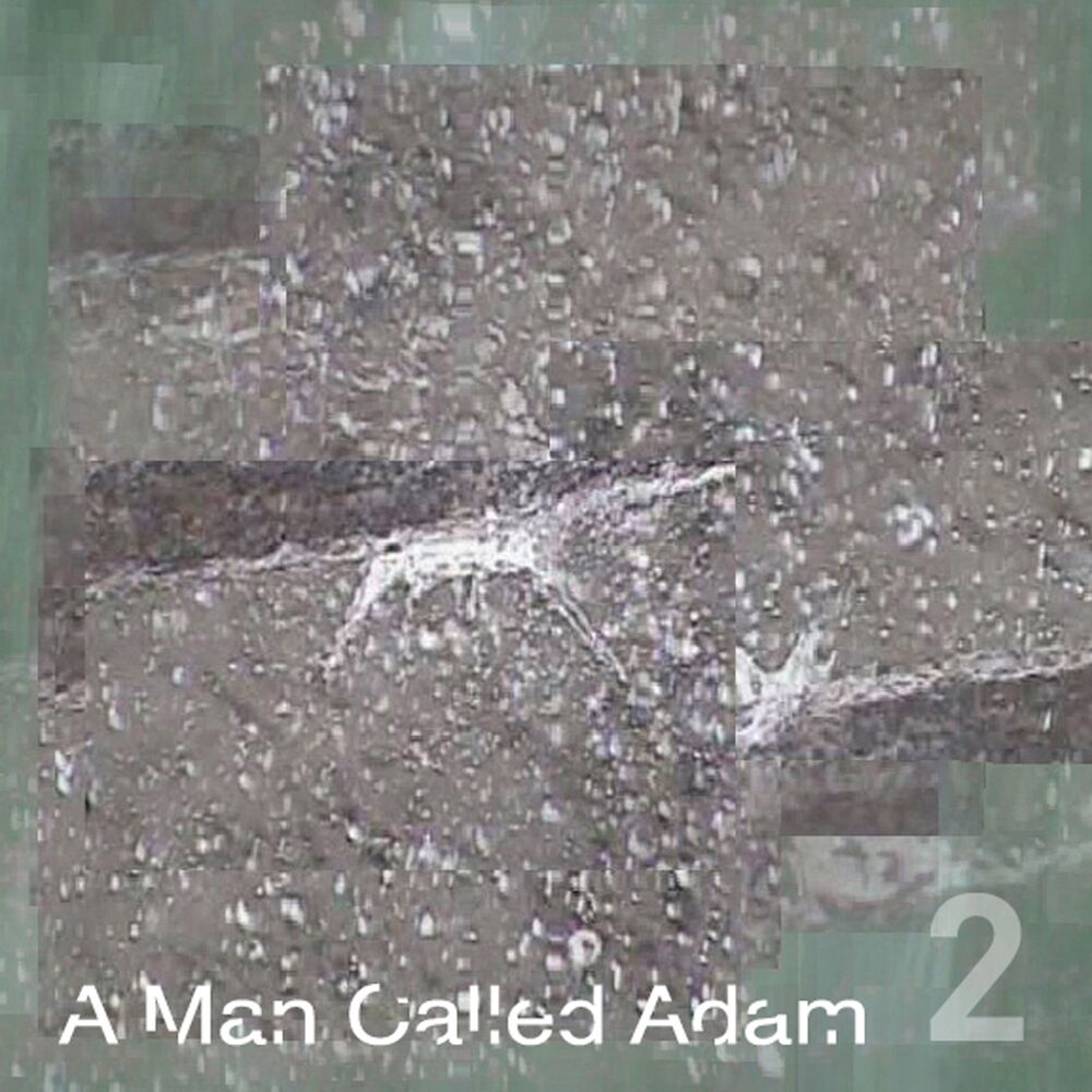 Picture of Collected Works, Volume Two