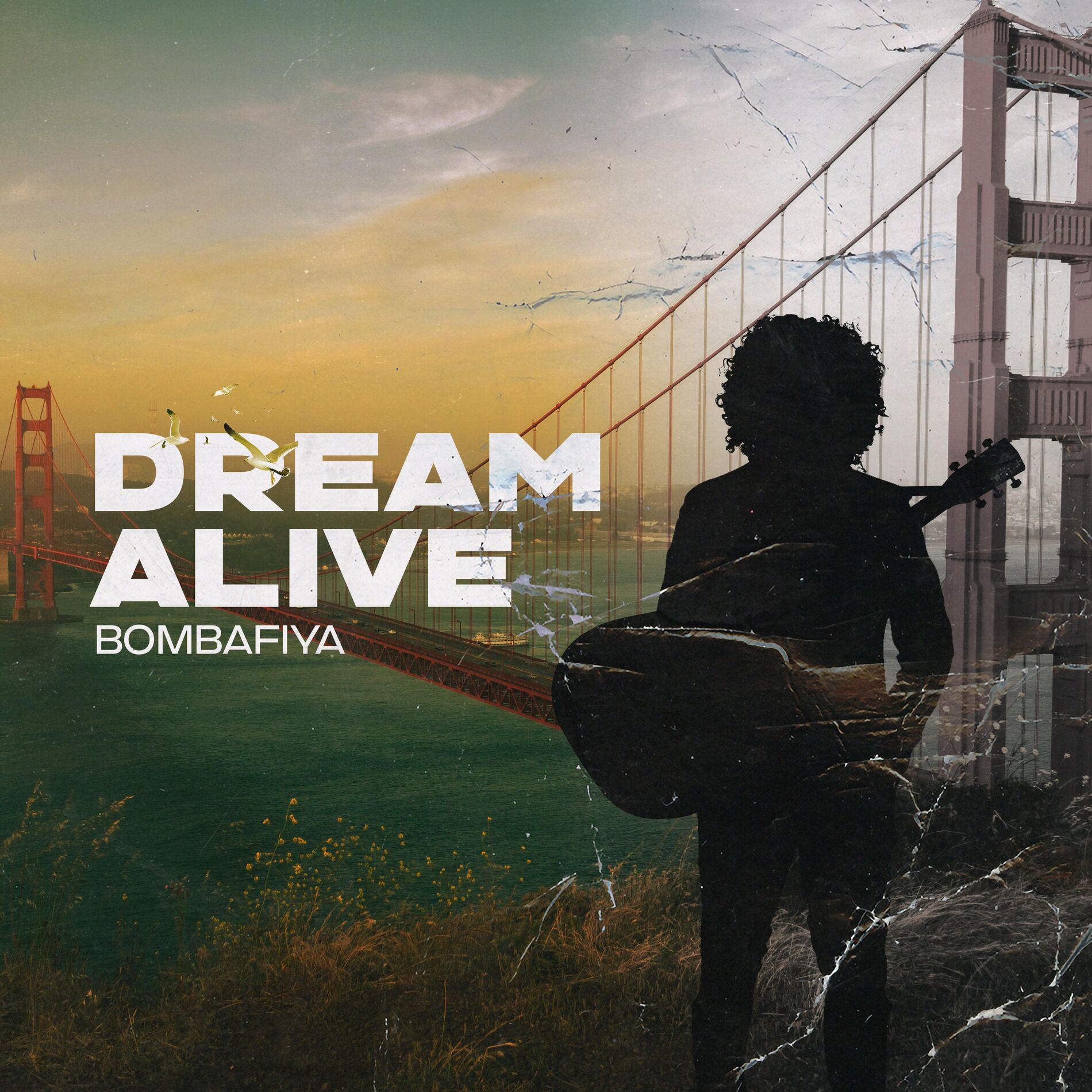 Album cover of Dream Alive