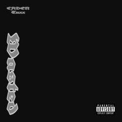 Cover of Wasted (feat. Tuxx)
