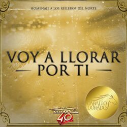 Cover of Voy a Llorar por Ti