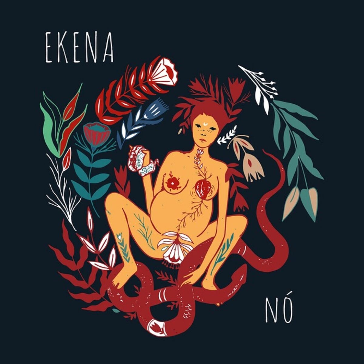 Album cover of Nó