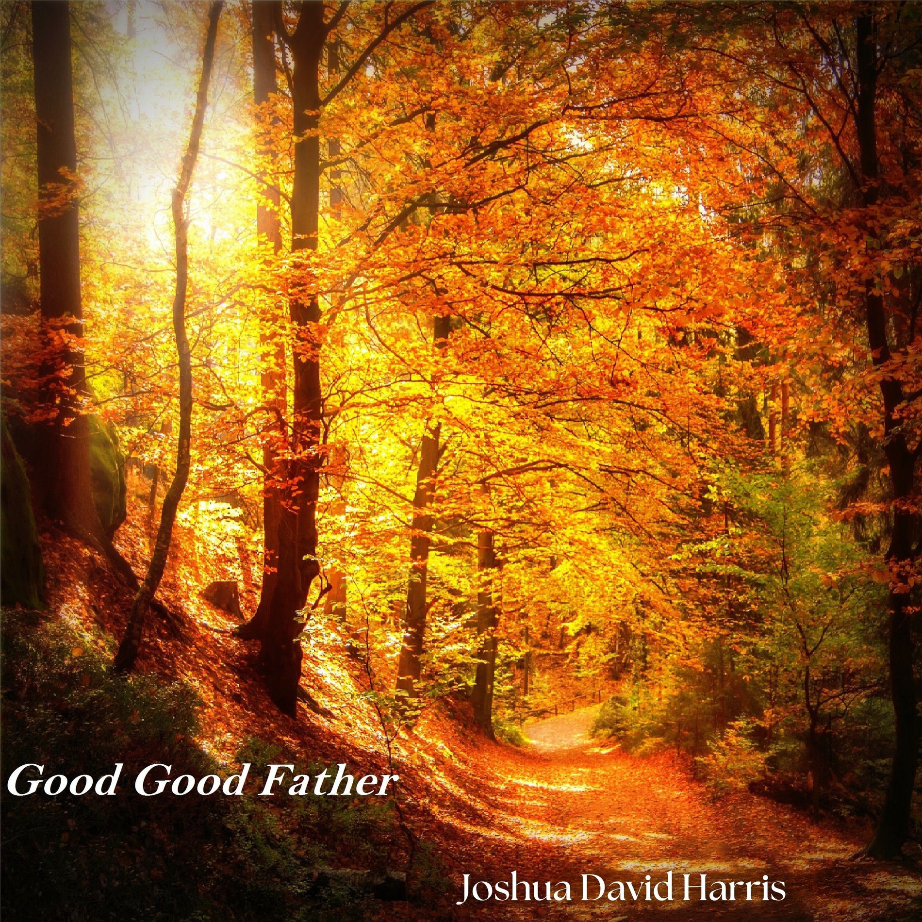 Album cover of Good Good Father