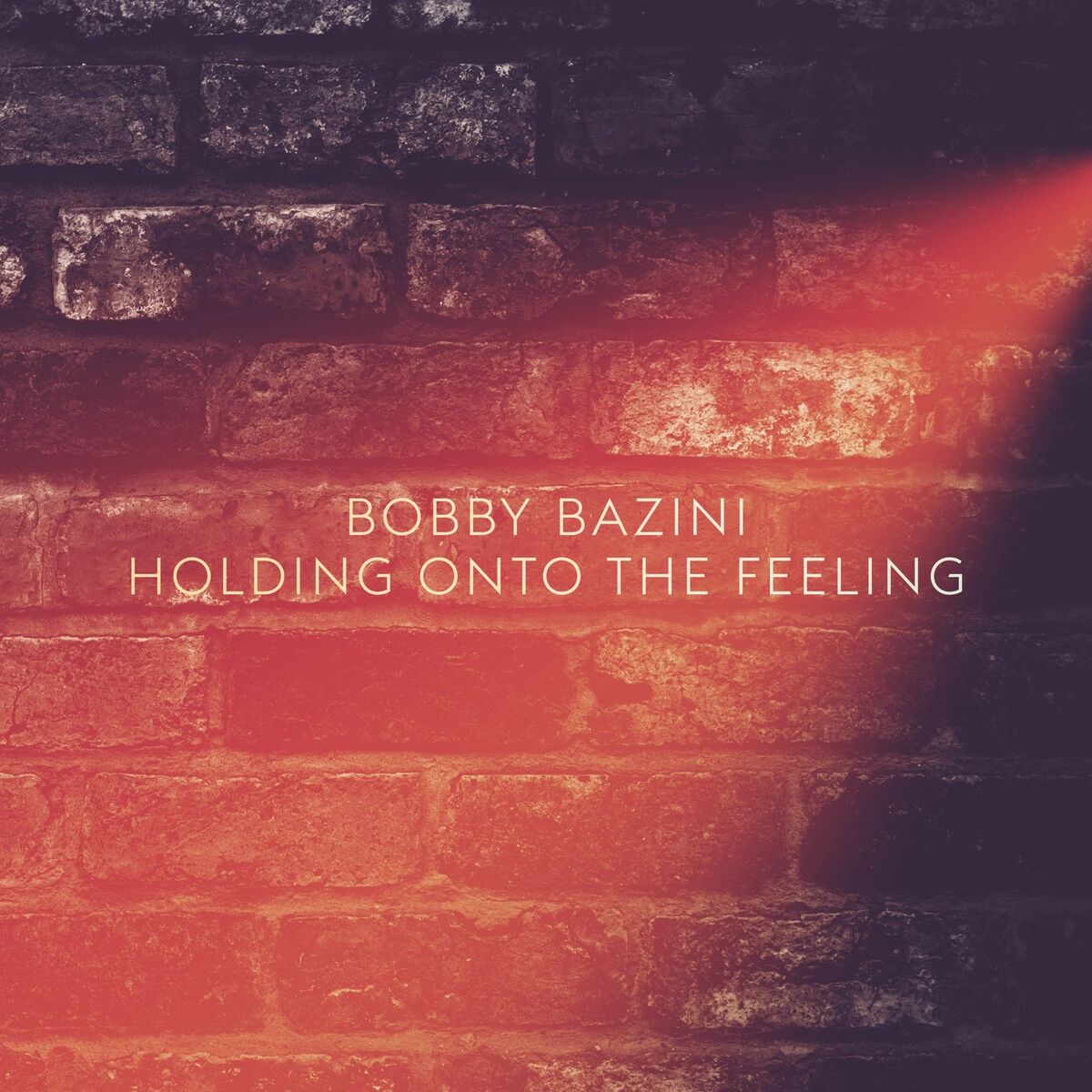 Album cover of Holding Onto The Feeling