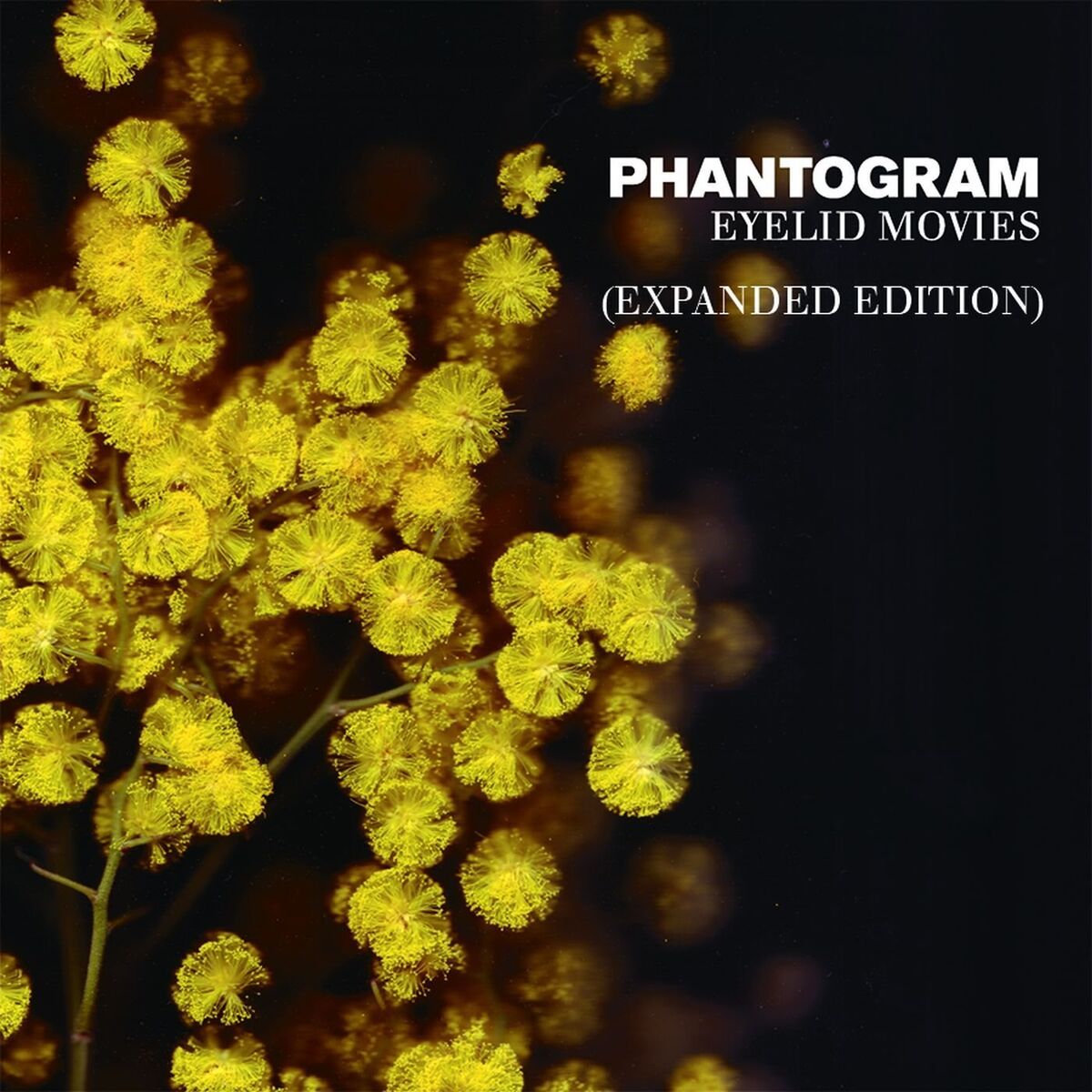 Album cover of Voices