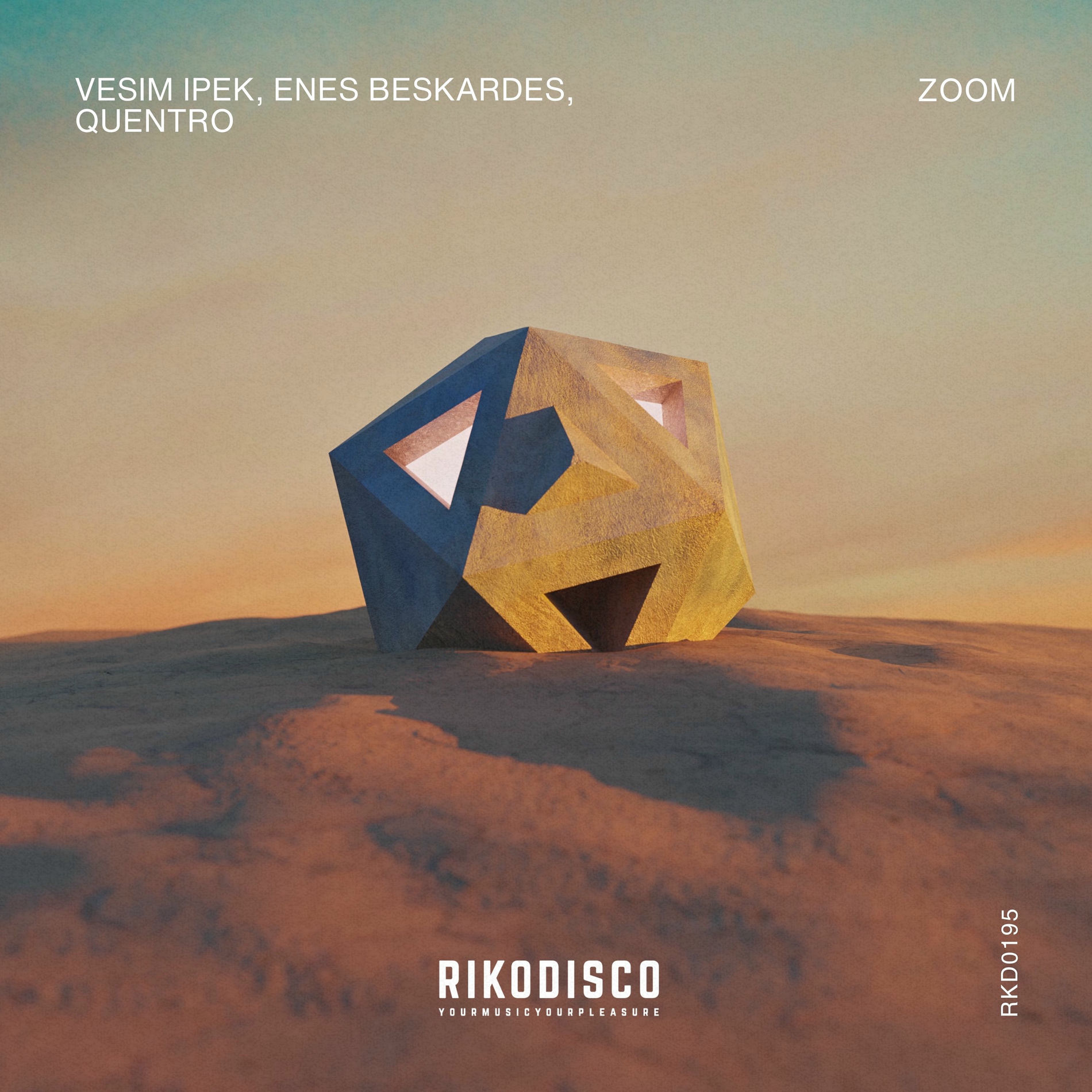 Album cover of Zoom