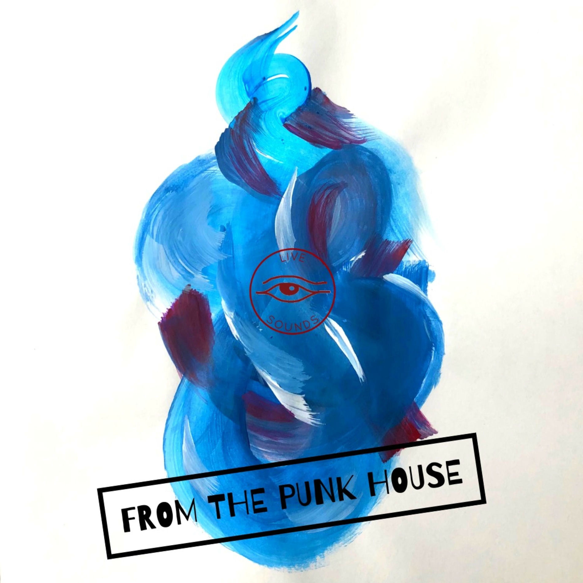 Album cover of LS from the Punk House