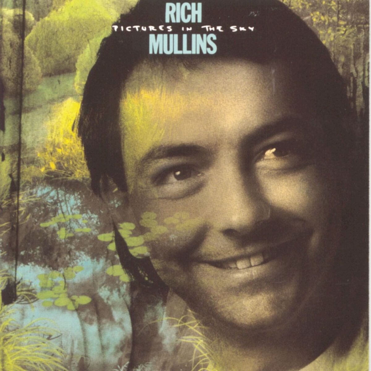Album cover of Pictures In The Sky