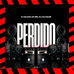 Cover of Perdido