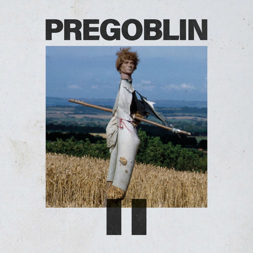 PREGOBLIN II sleeve