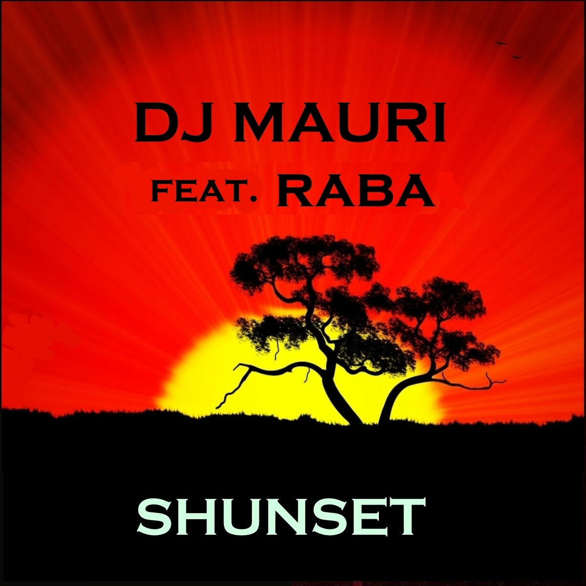 Album cover of Shunset