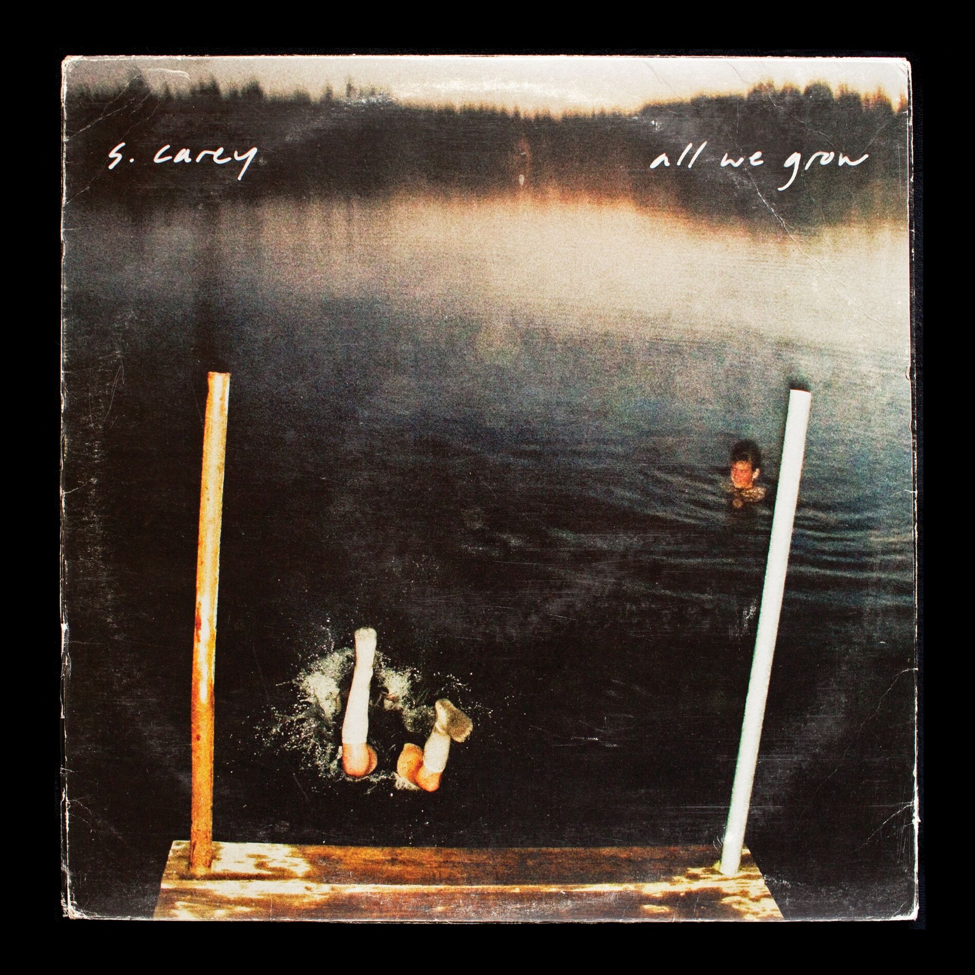 Album cover of In the Dirt