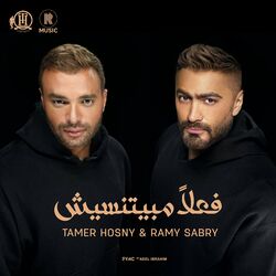 Cover of فعلا مبيتنسيش